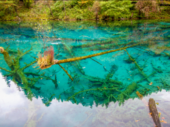 You can't miss view of Jiuzhaigou in your life, for there's no fairytale land other than it
